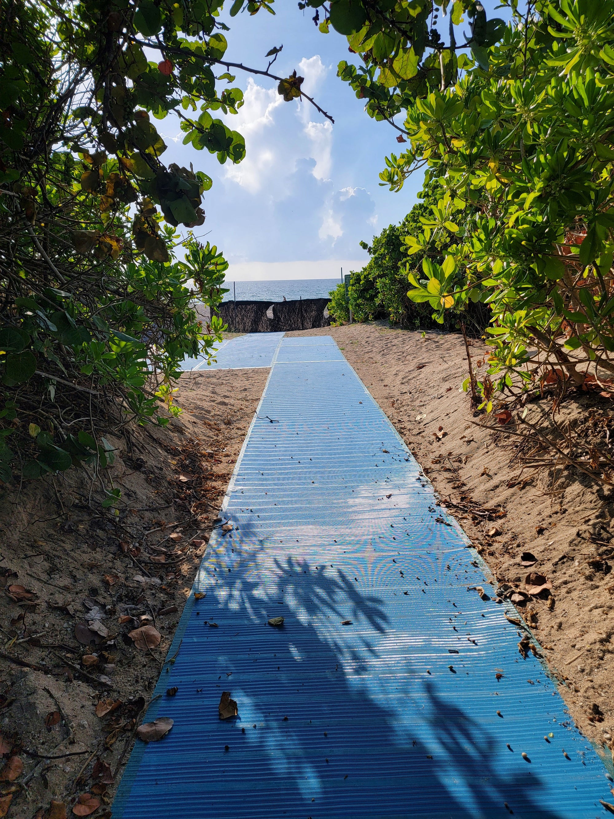 Beach Accessibility Pathway Planning Guide