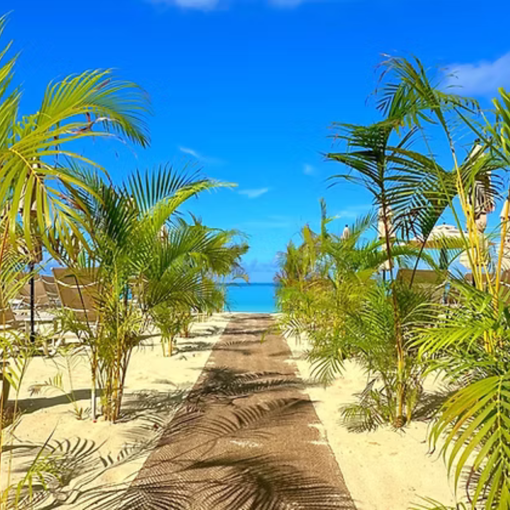 COCOPATH™ Natural Beach &amp; Ground Accessibility Matting