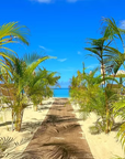 COCOPATH™ Natural Beach & Ground Accessibility Matting